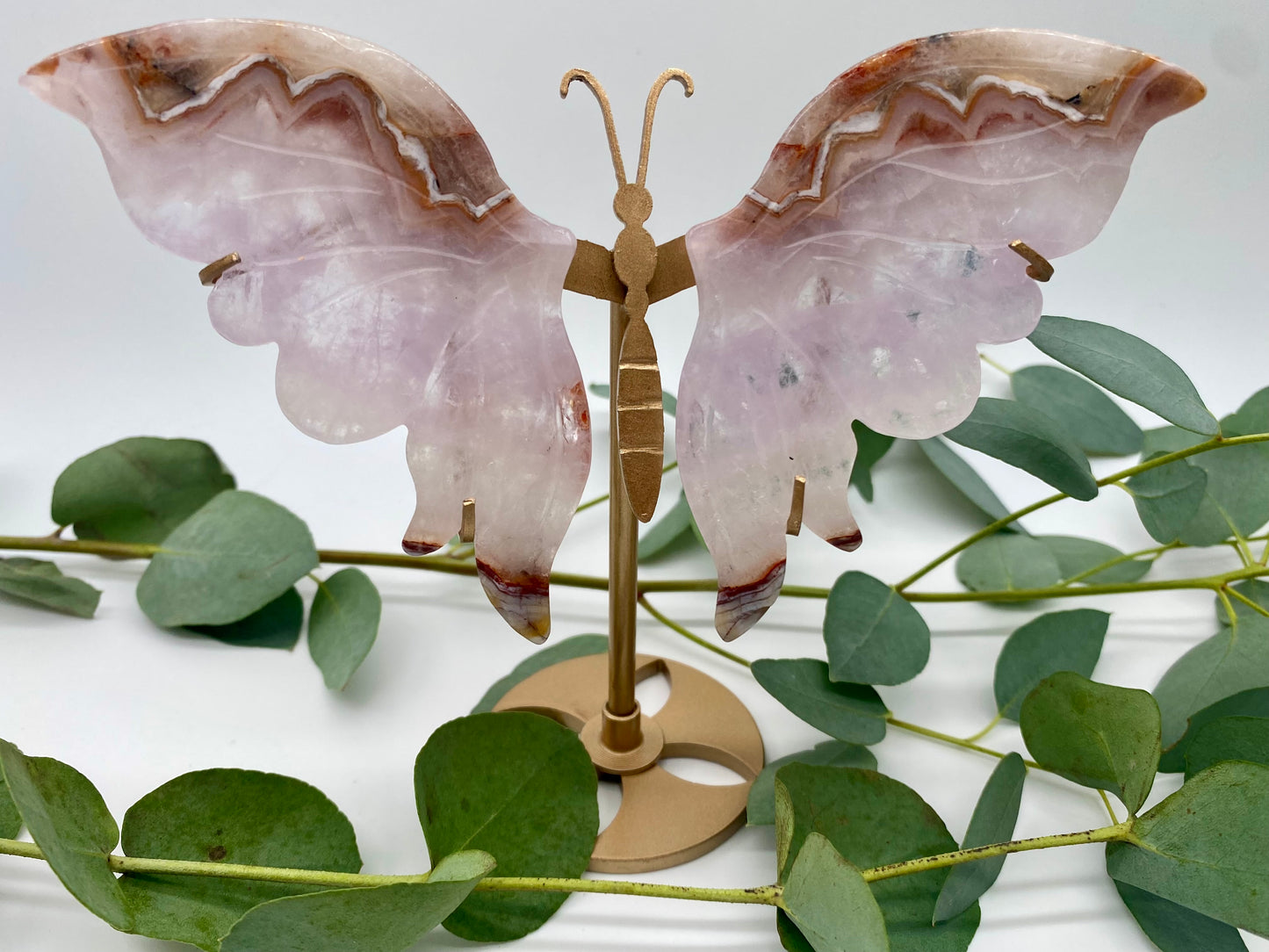 Schmetterlinge Achat mit Amethyst