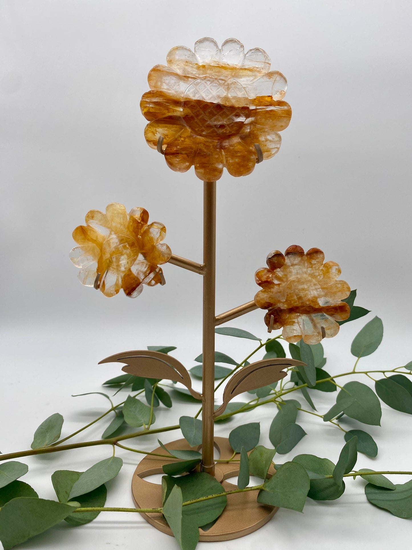 Große Blumen Golden Healer