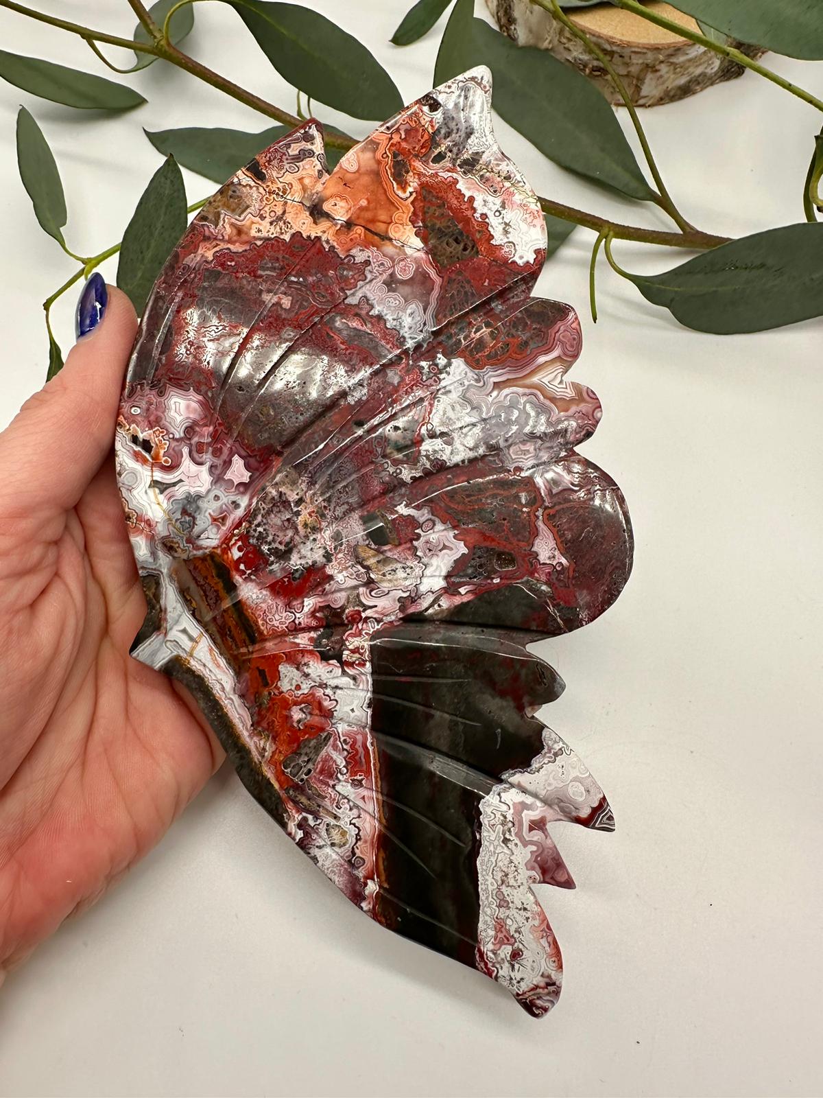 Großer Schmetterling Crazy Lace Achat (Mexikanischer Achat)