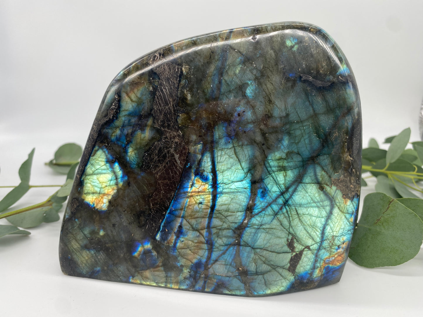 Freeform Labradorit XL