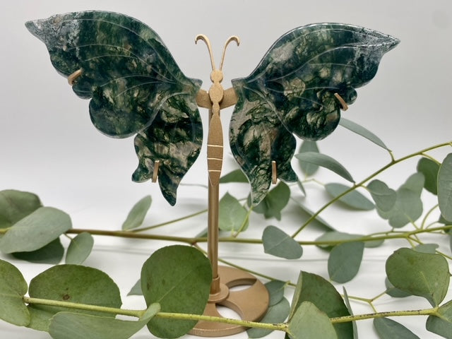 Schmetterlinge Moosachat