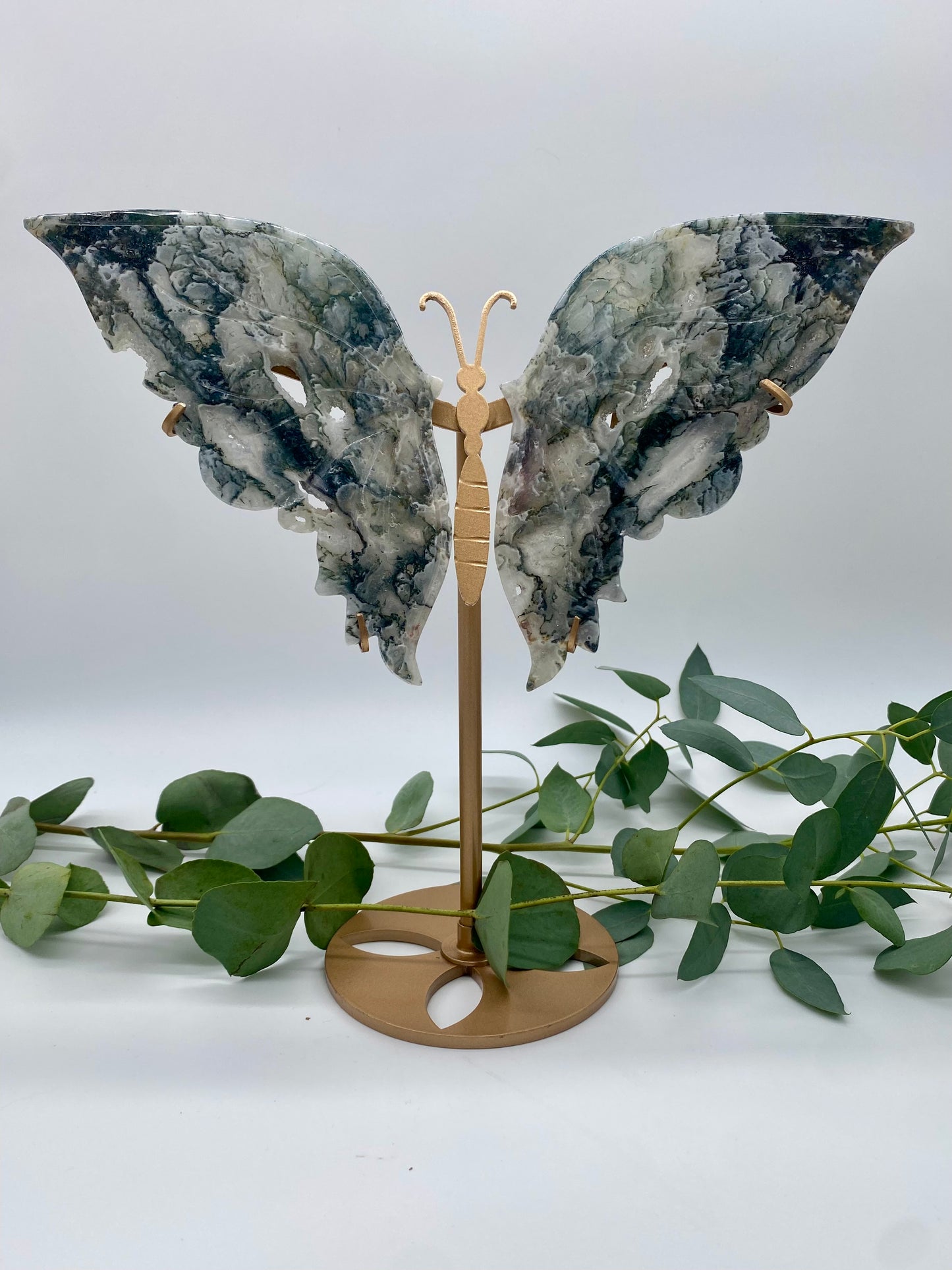 Große Schmetterlinge Moosachat