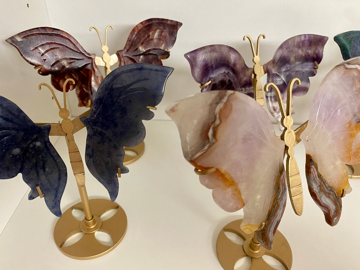 Mystery Schmetterling