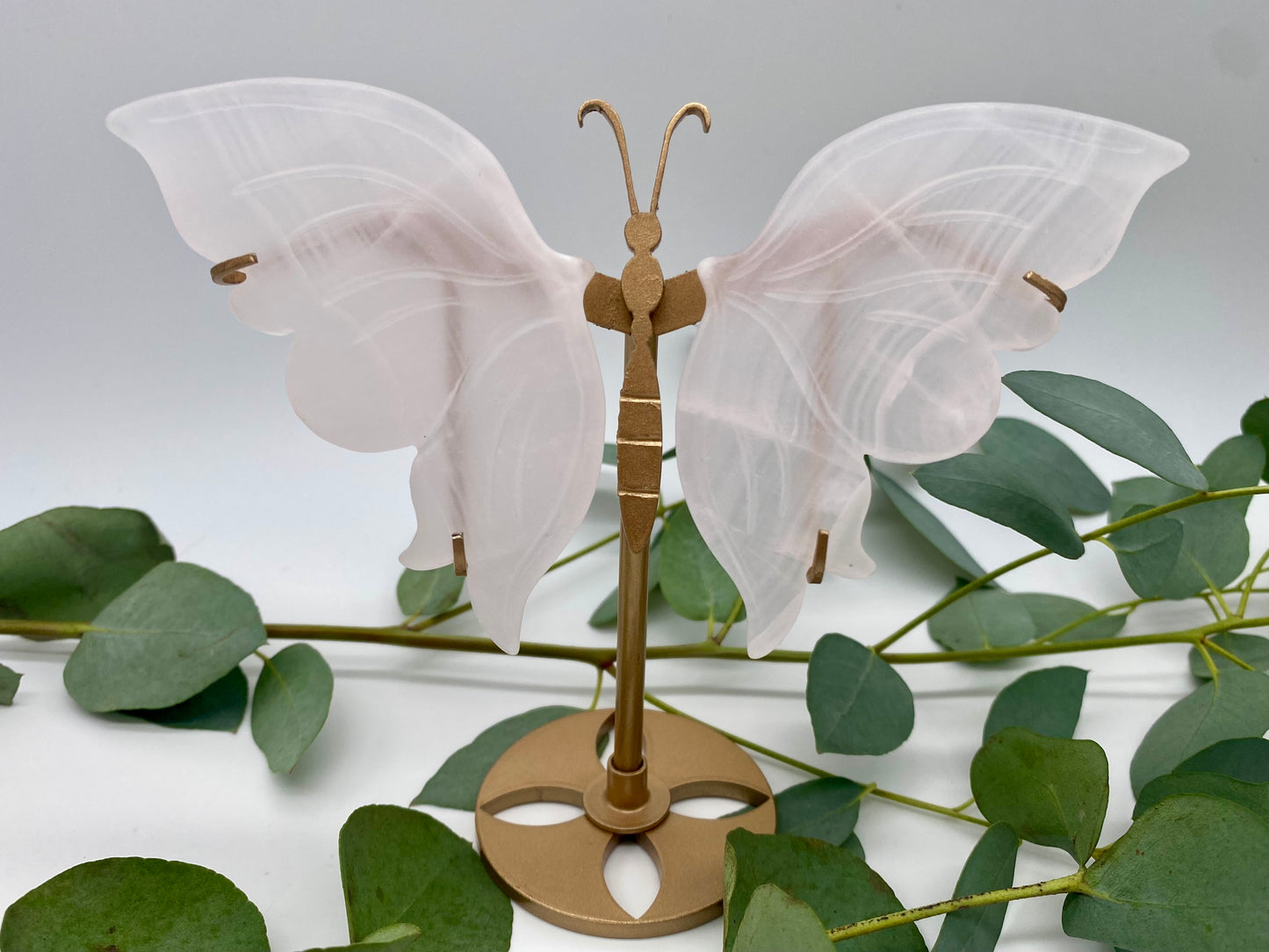 Schmetterlinge Pink Mangano