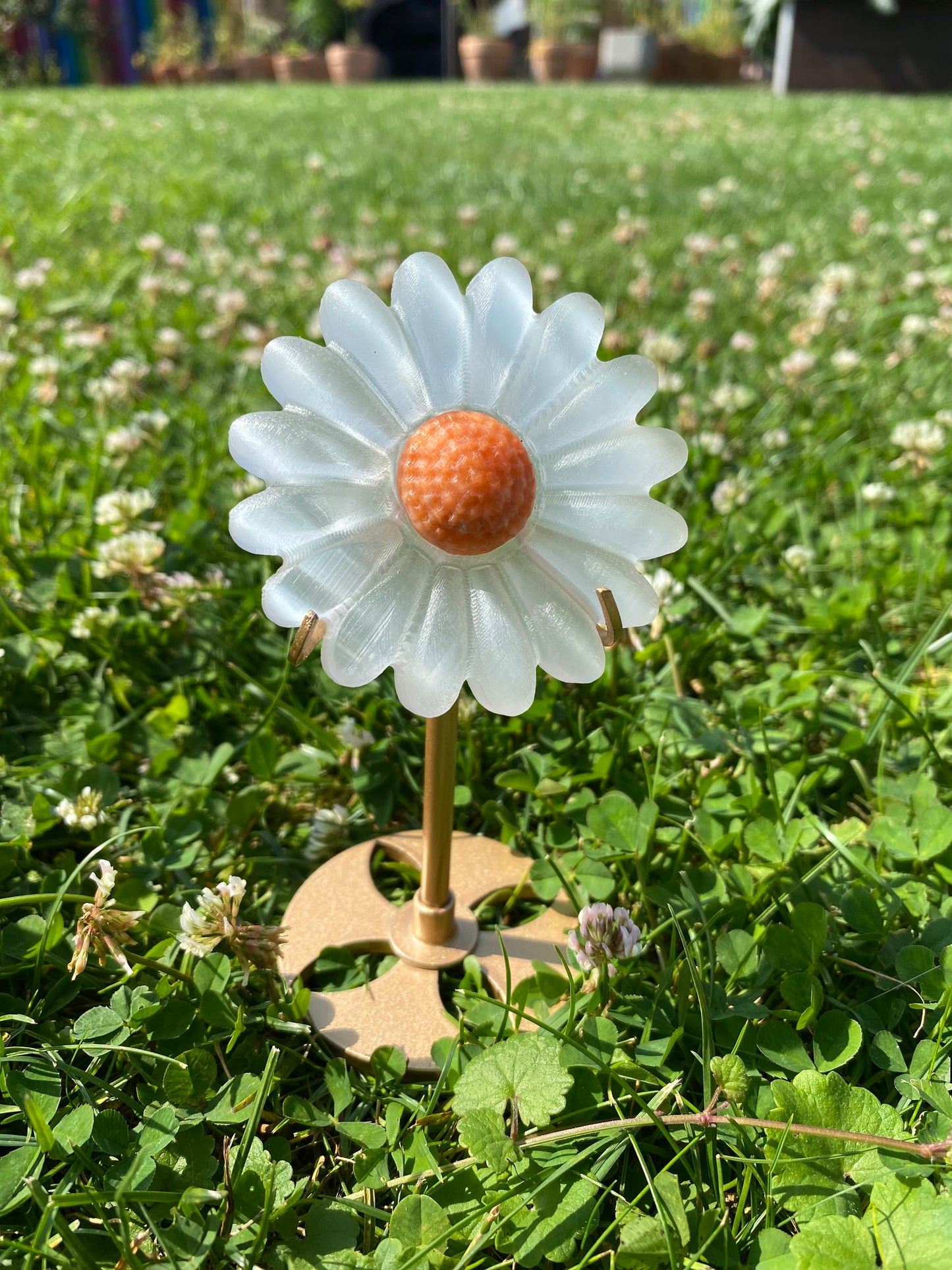 Selenit Blume Orange