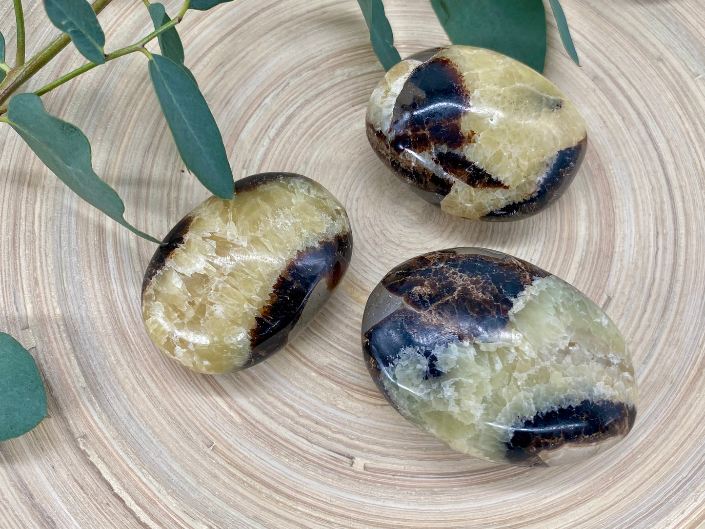 Septarian Trommelstein