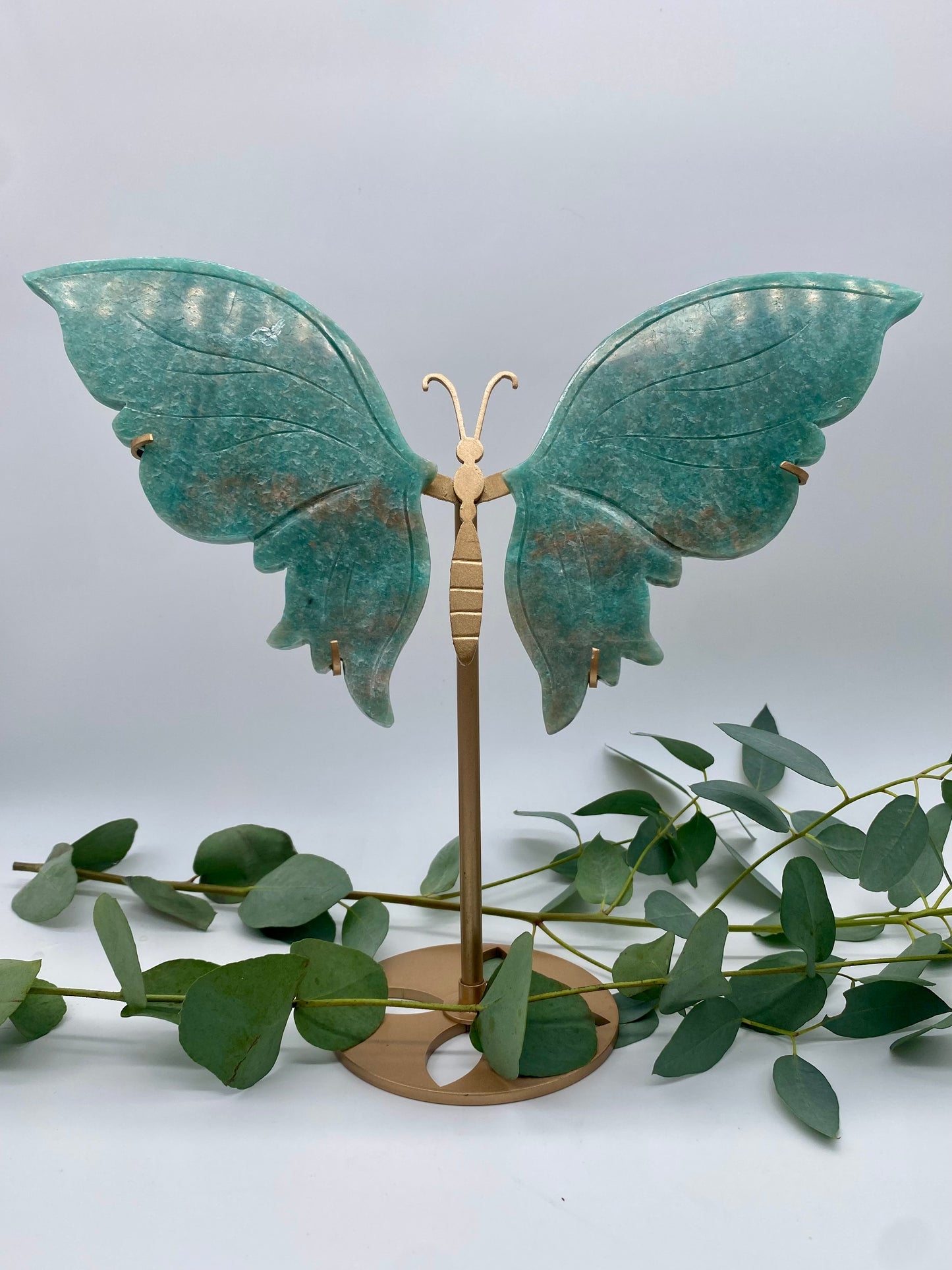 Große Schmetterlinge Amazonit