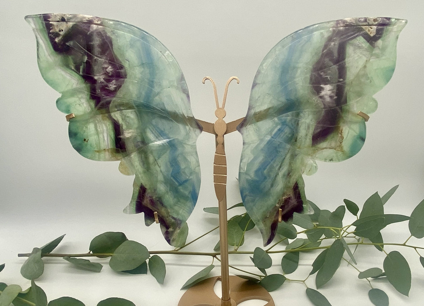 Große Schmetterlinge Fluorit