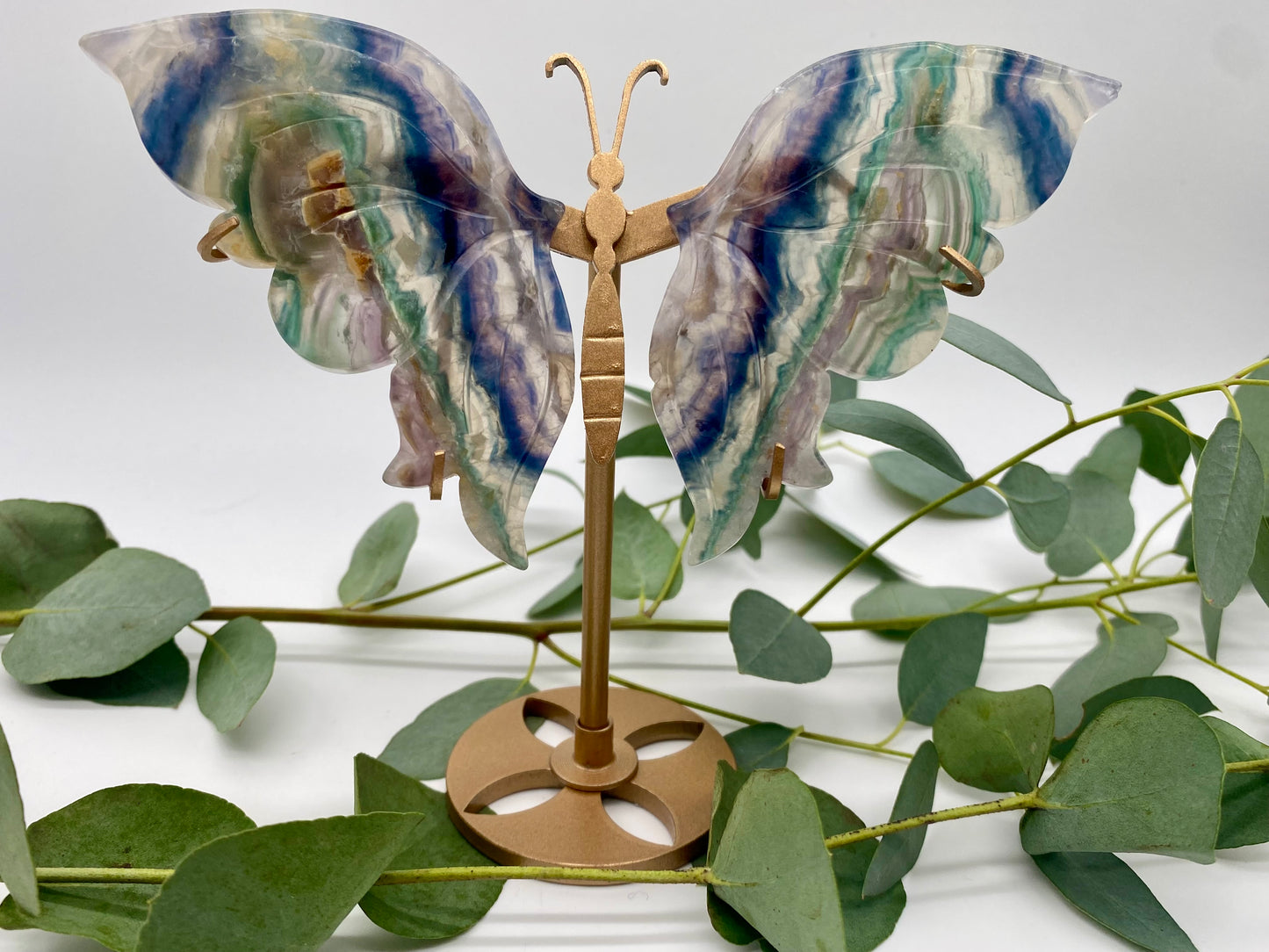 Schmetterlinge Fluorit