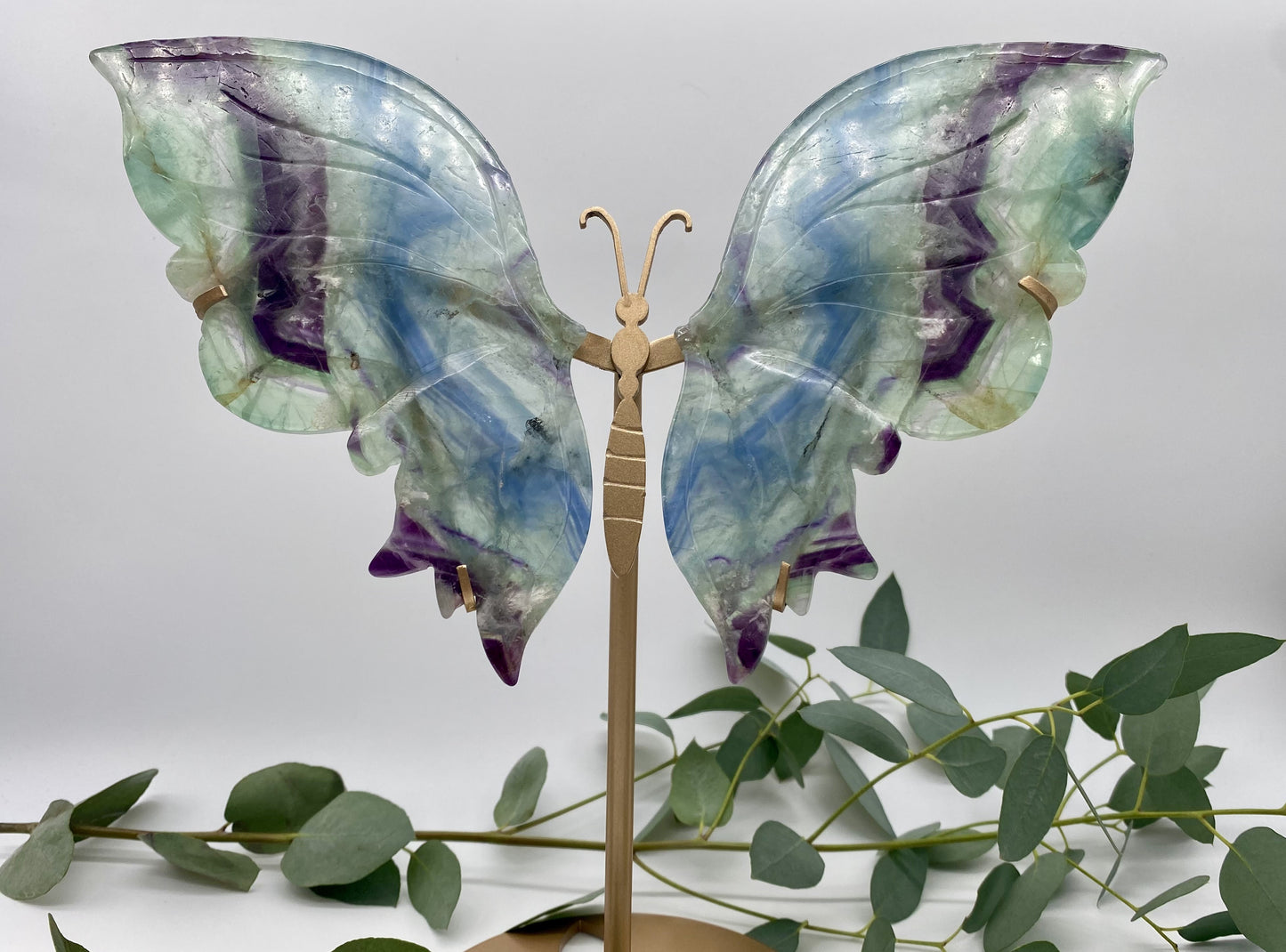 Große Schmetterlinge Fluorit