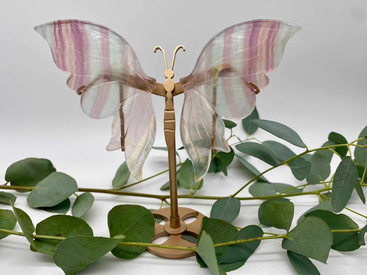 Schmetterlinge Fluorit