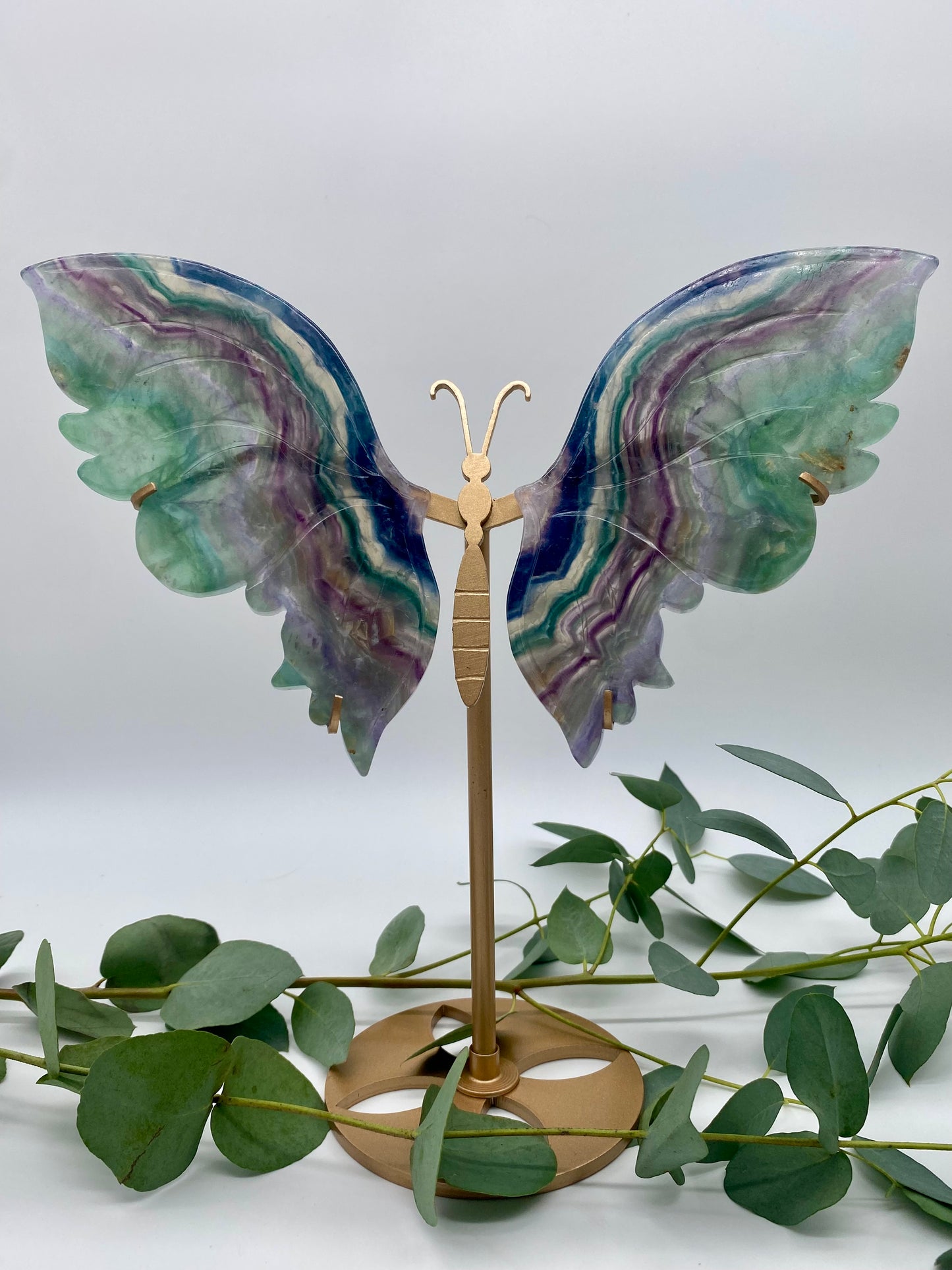 Große Schmetterlinge Fluorit