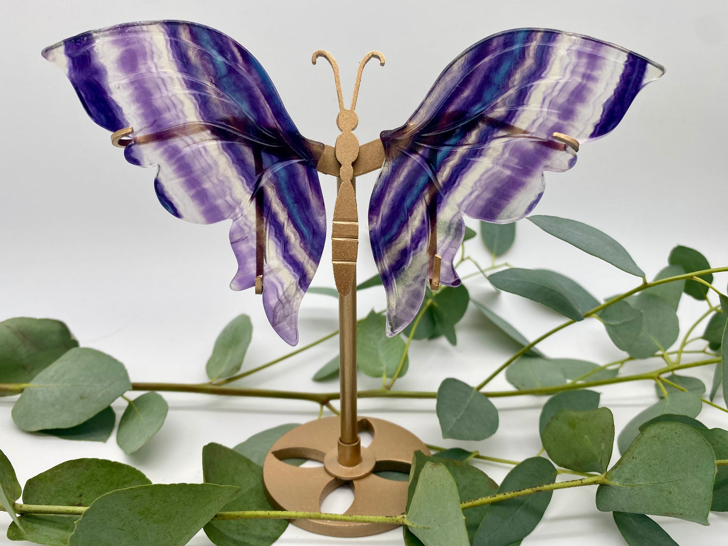 Schmetterlinge Fluorit