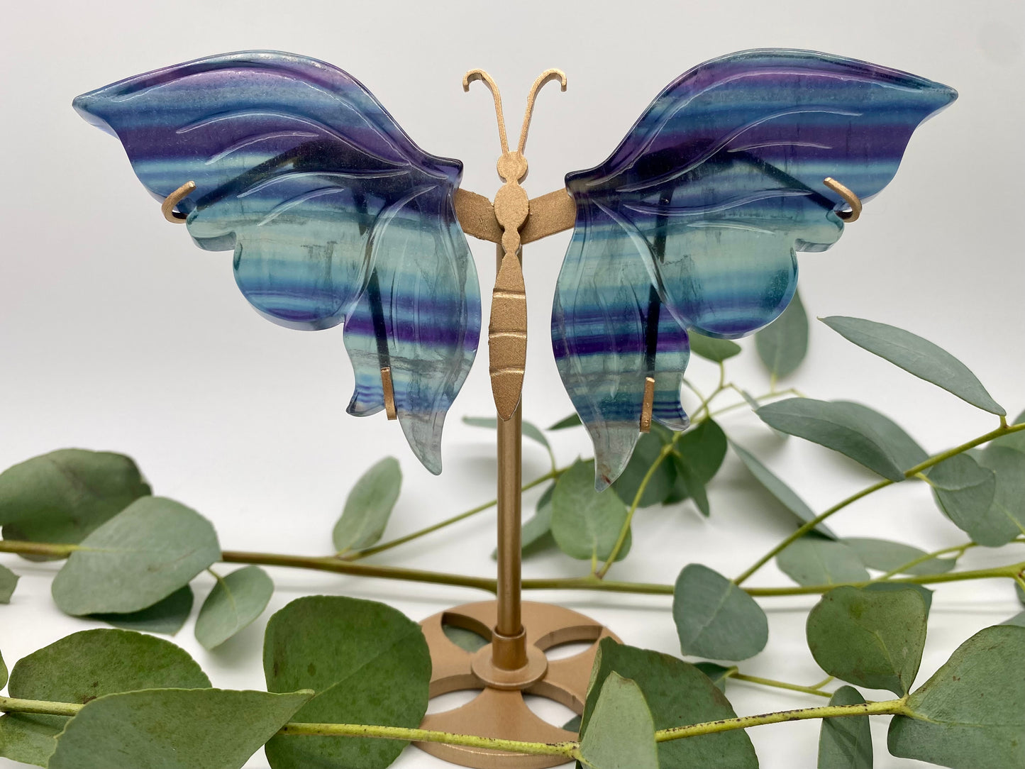 Schmetterlinge Fluorit