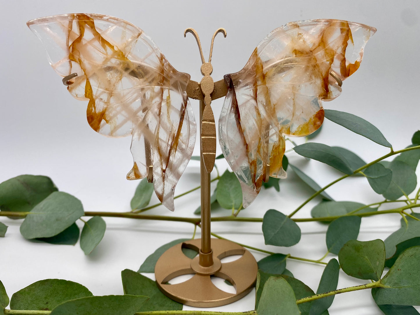 Schmetterlinge Golden Healer