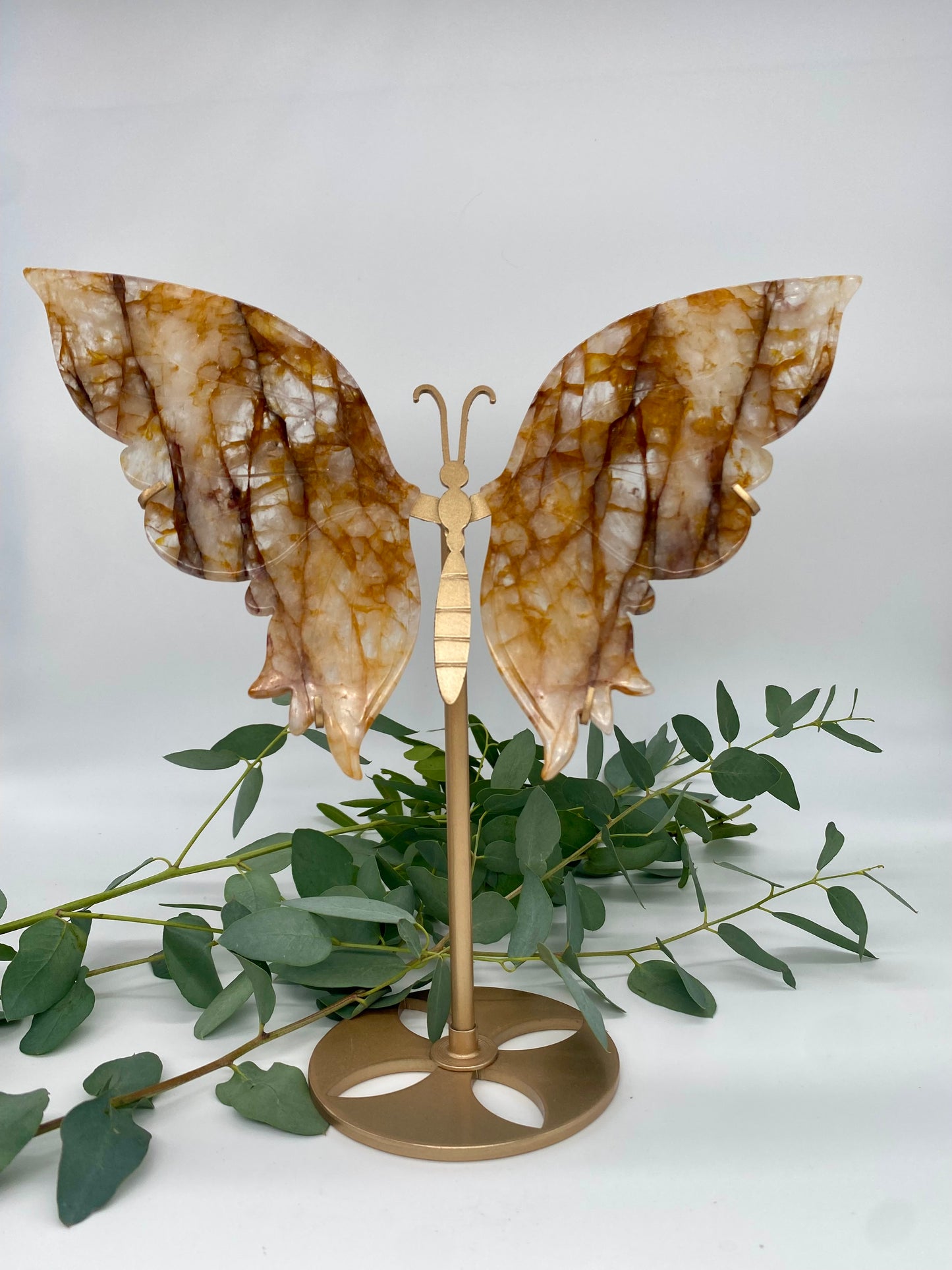 Großer Schmetterling Golden Healer