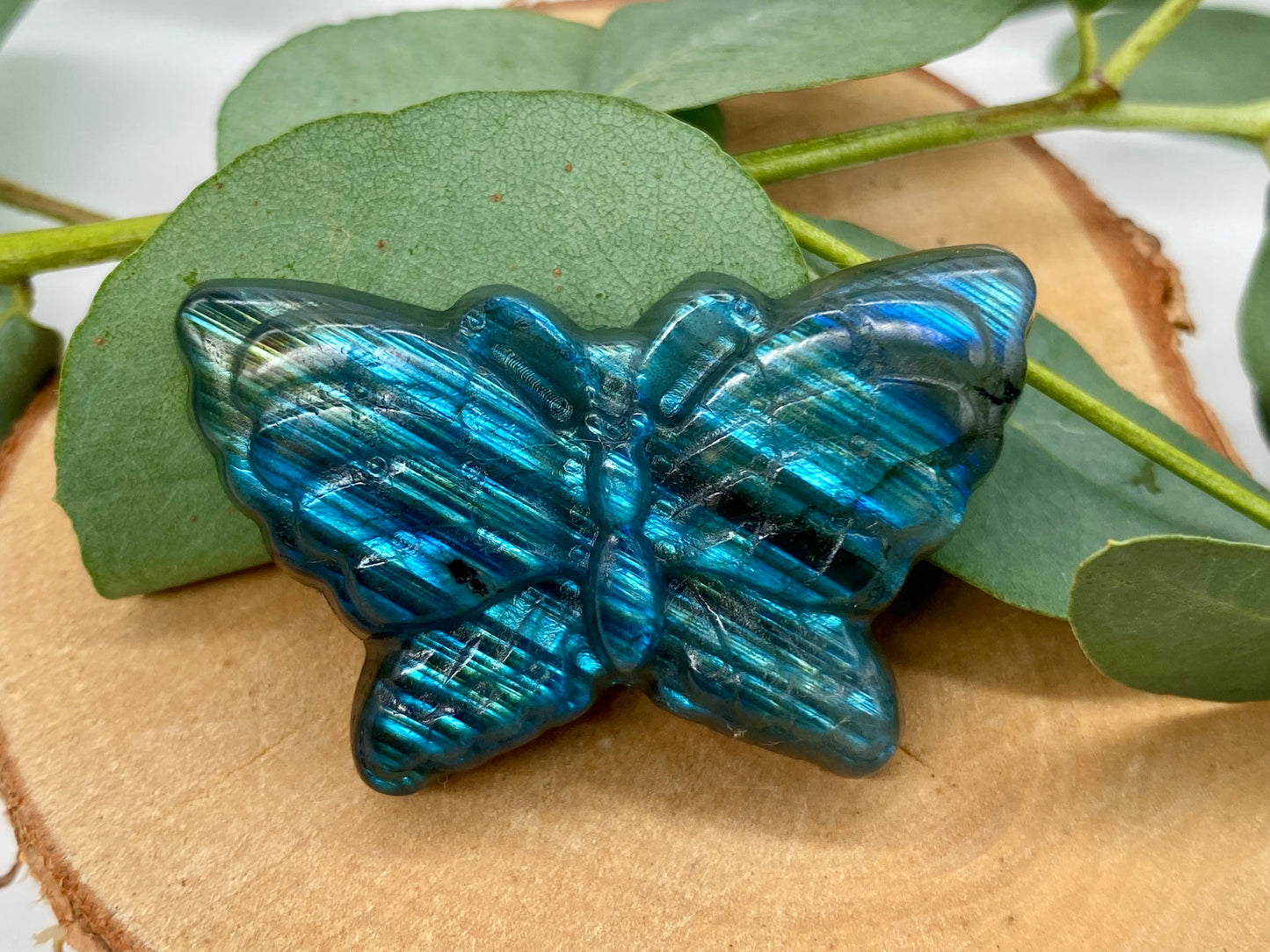 Schmetterling Labradorit