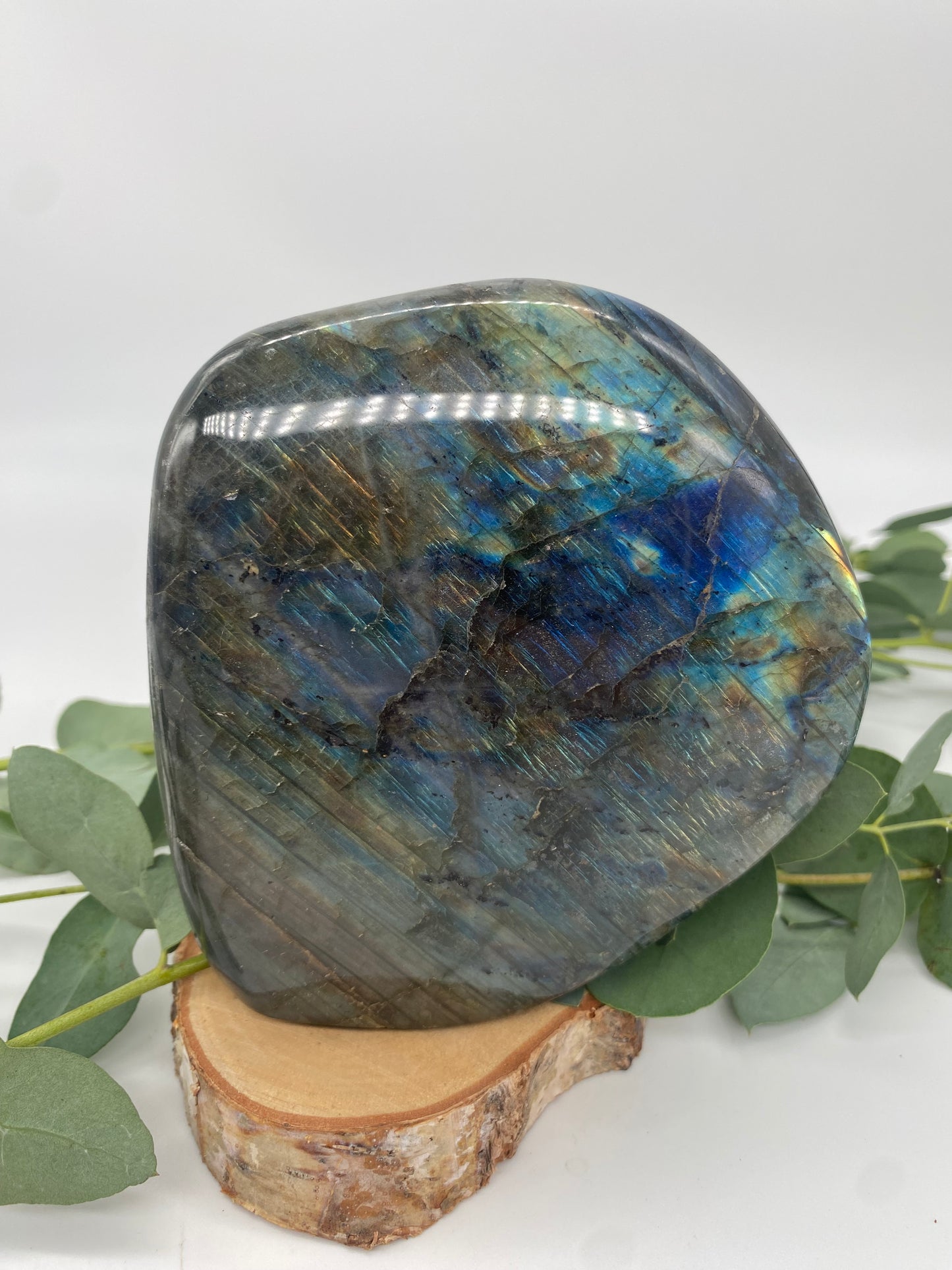 Freeform Labradorit XL