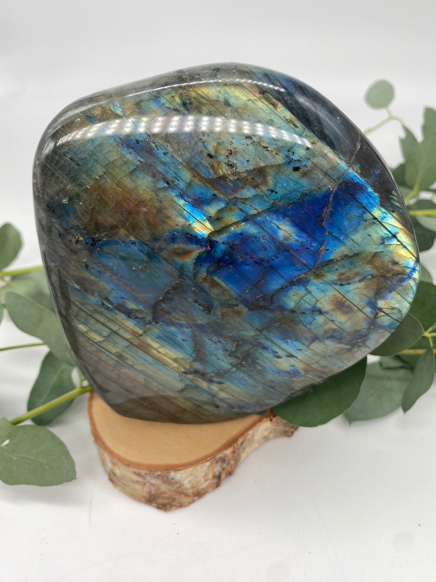 Freeform Labradorit XL