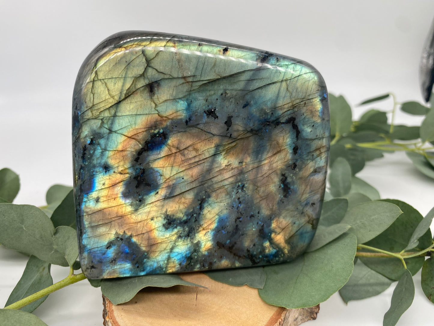 Freeform Labradorit XL