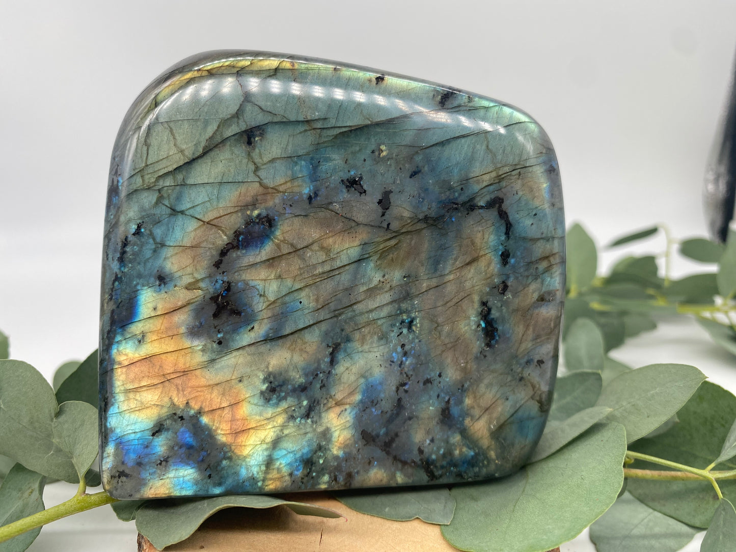 Freeform Labradorit XL