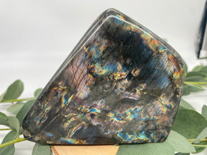 Freeform Labradorit XL