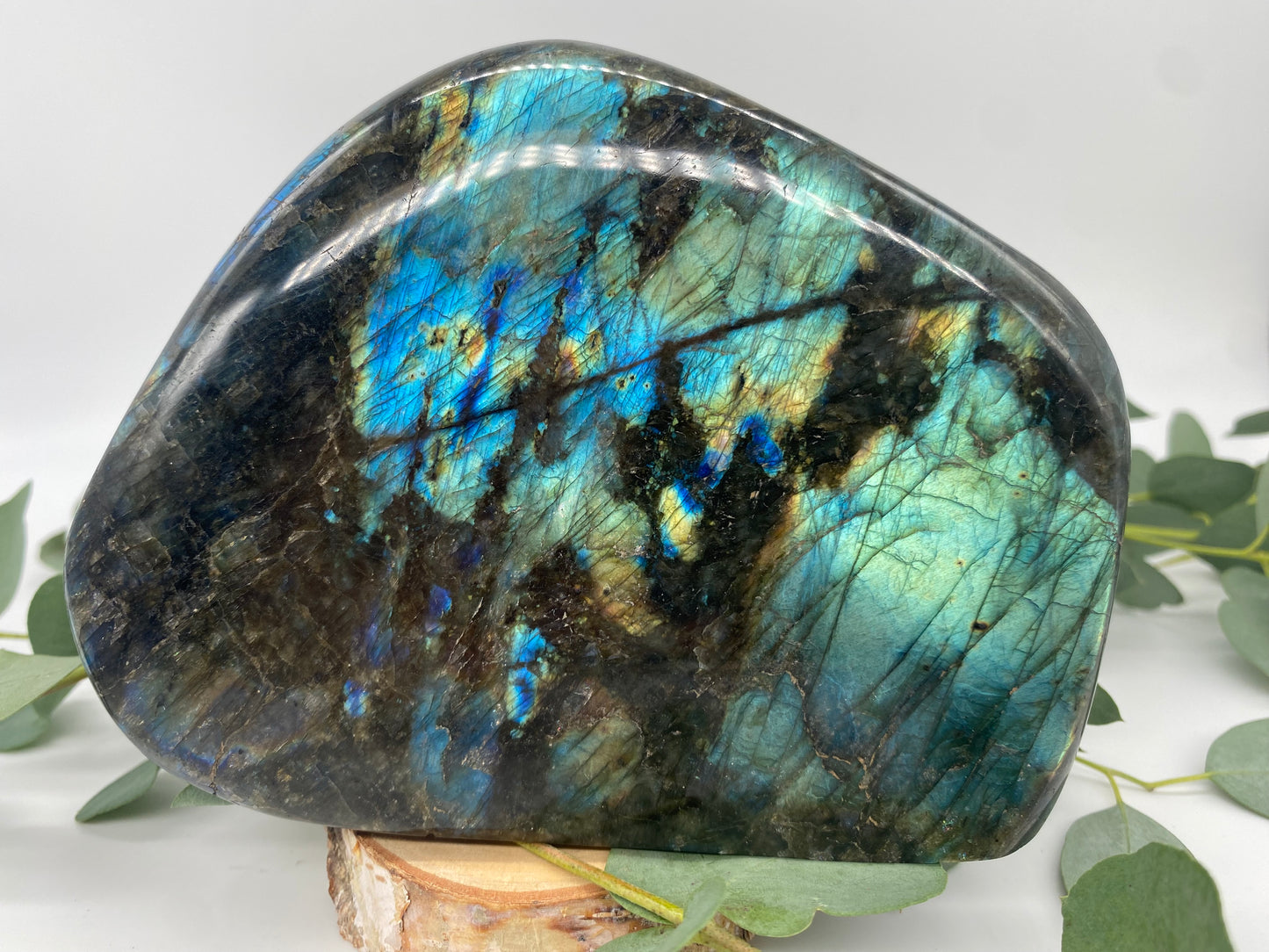 Freeform Labradorit XL