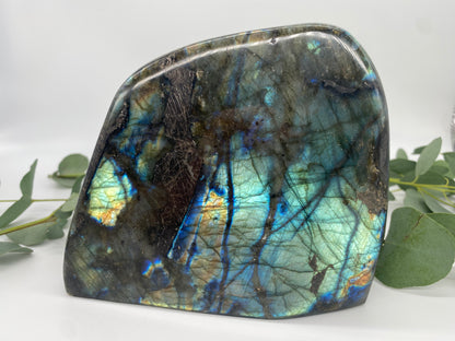 Freeform Labradorit XL