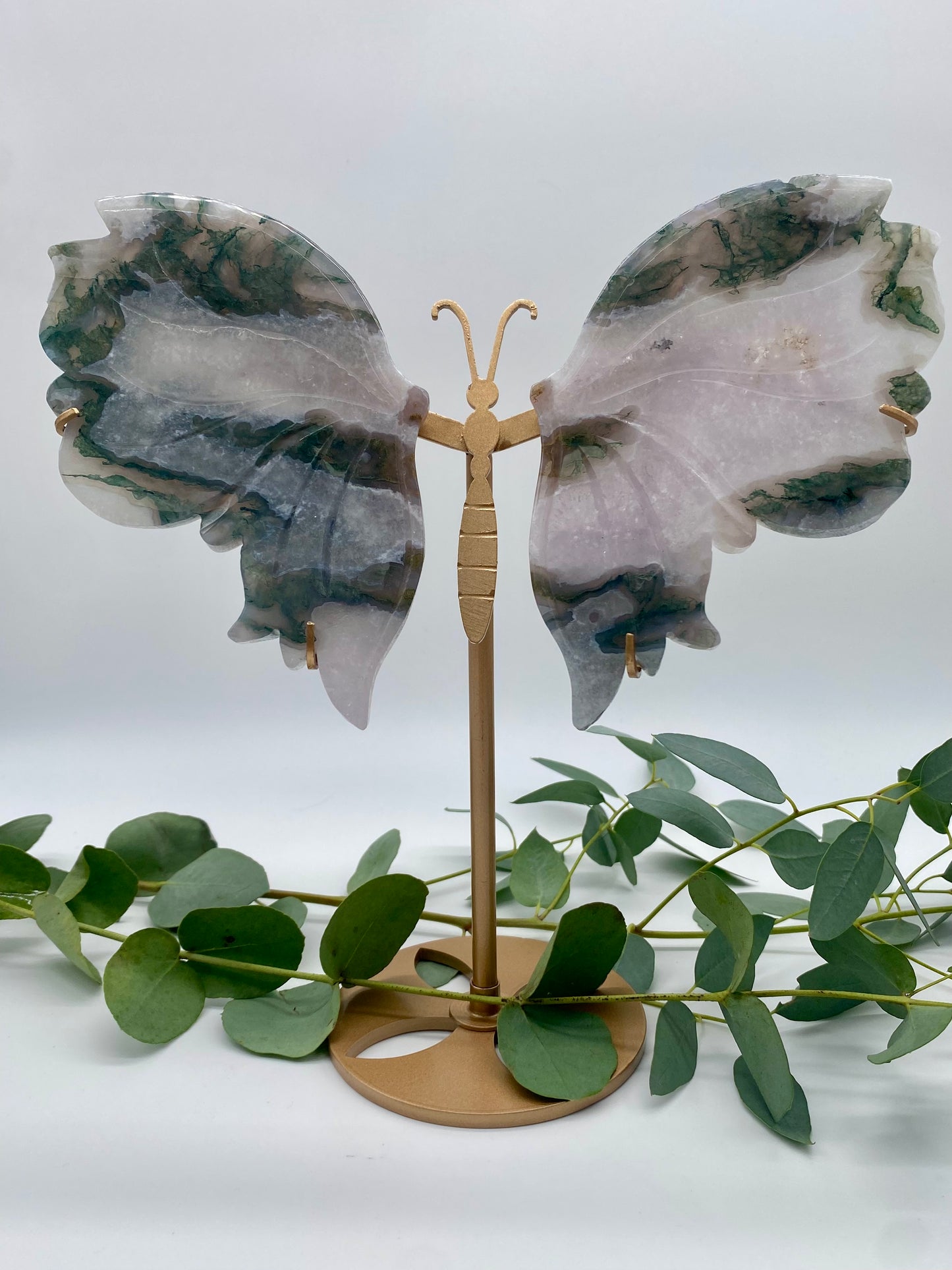 Große Schmetterlinge Moosachat