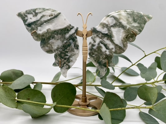 Schmetterlinge Moosachat