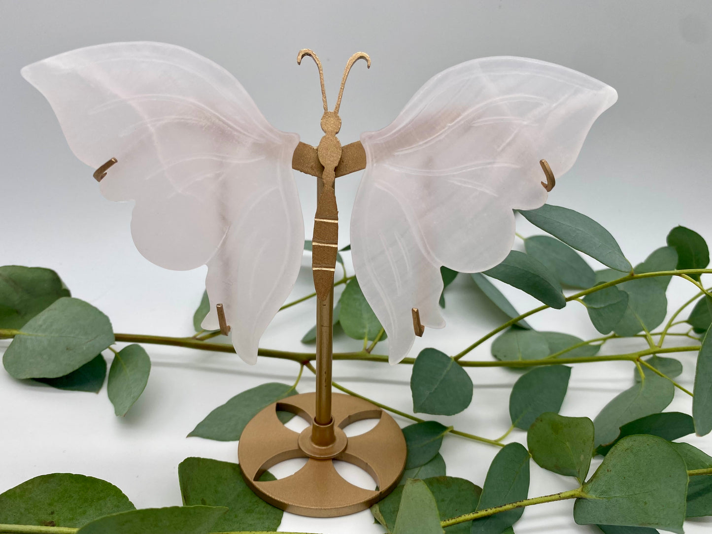 Schmetterlinge Pink Mangano