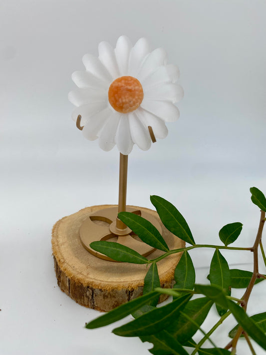 Selenit Blume Orange